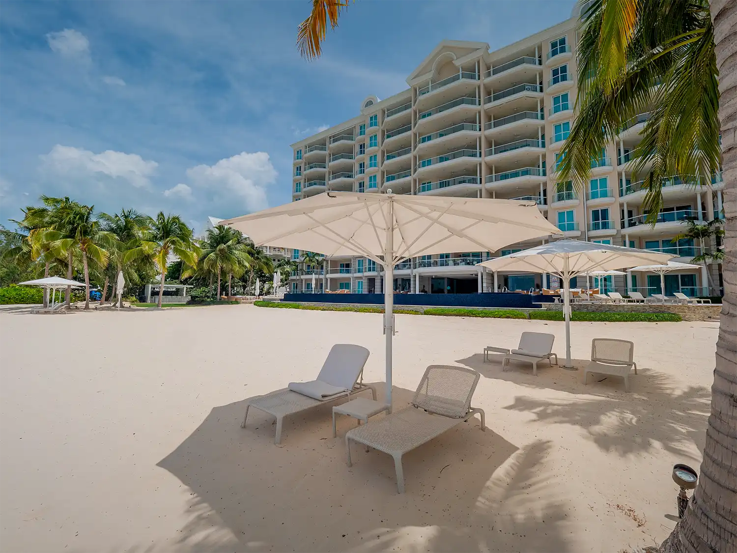 Watercolours 101 - Image 30